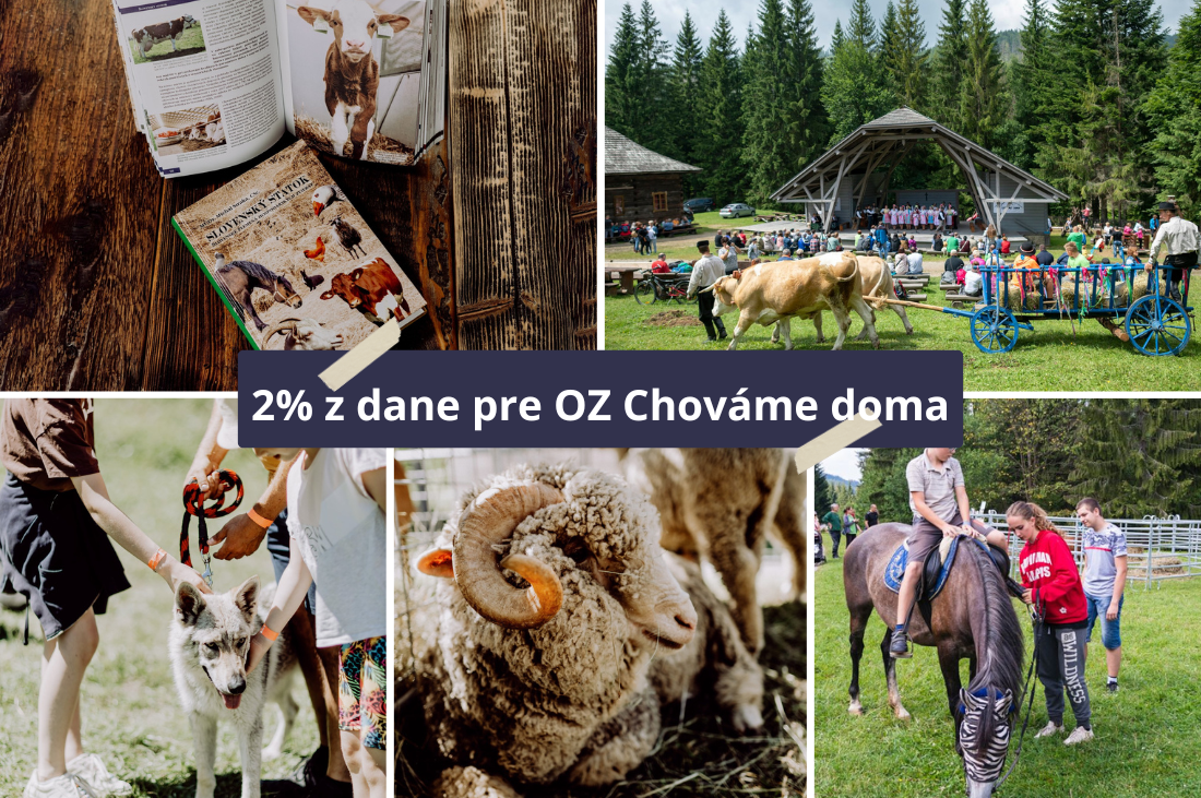 Aký bol rok 2022 OZ Chováme doma kópia