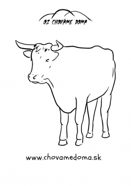 omalovanka chovamedoma 3